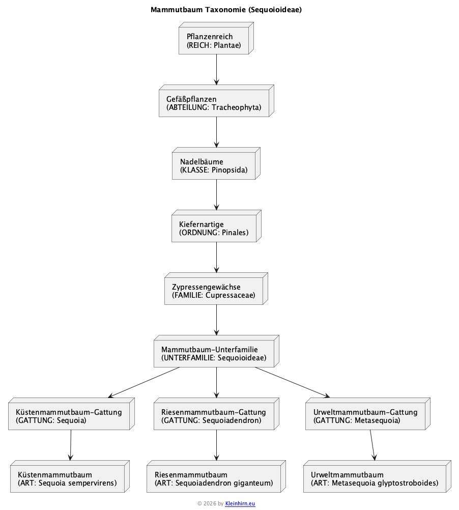azyklischer Graph